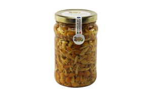 Funghi chiodini in olio - 1700 ml